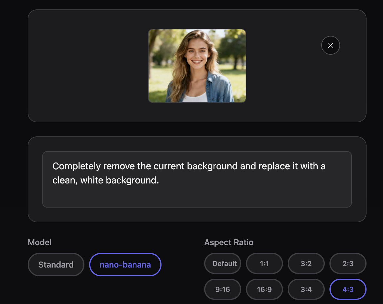 AI Image to Image text prompt area for describing vision.